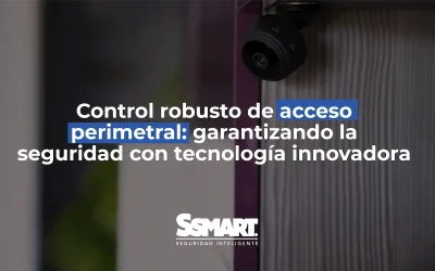 Control de Acceso Perimetral: Seguridad con Tecnología
